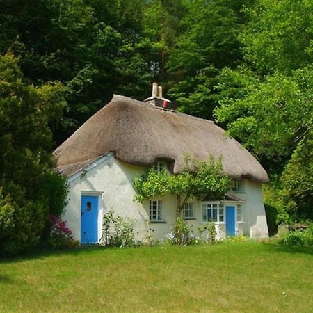 Lew Quarry Cottage Lewdown Extérieur photo